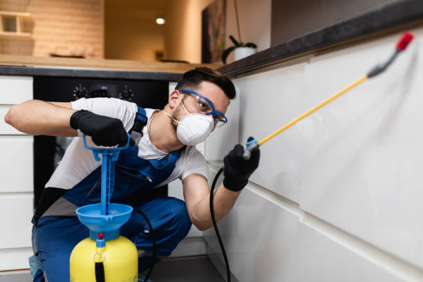 Reliable Bloomington, IN Pest Control Solutions