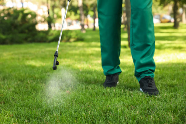 Best Insect Control  in Bloomgton, IN