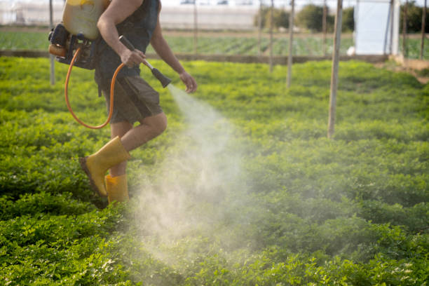 Pest Prevention Services in Bloomington, IN