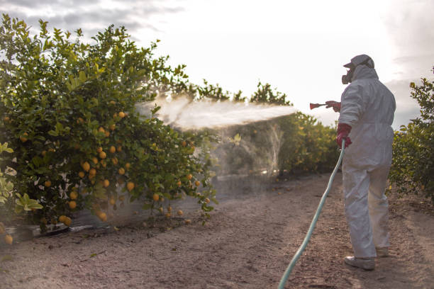 Best Pest Inspection Near Me  in Bloomgton, IN