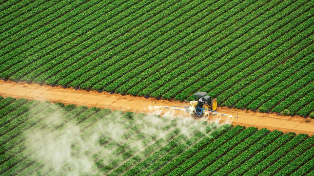 Best Termite Control Services  in Bloomgton, IN