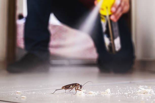 Best Affordable Pest Control Services  in Bloomgton, IN