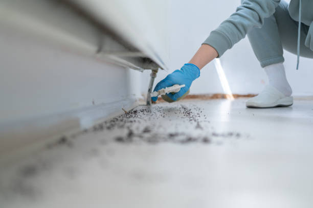 Best Pest Prevention Services  in Bloomgton, IN